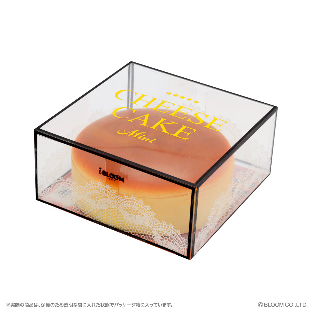 Cheesecake Mini (Boxed)
