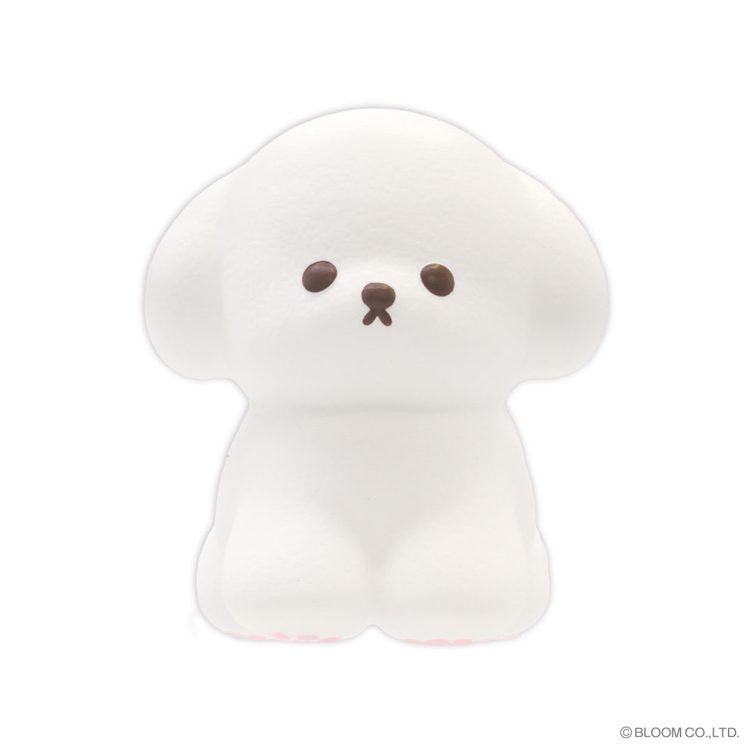 Fluffy Dog