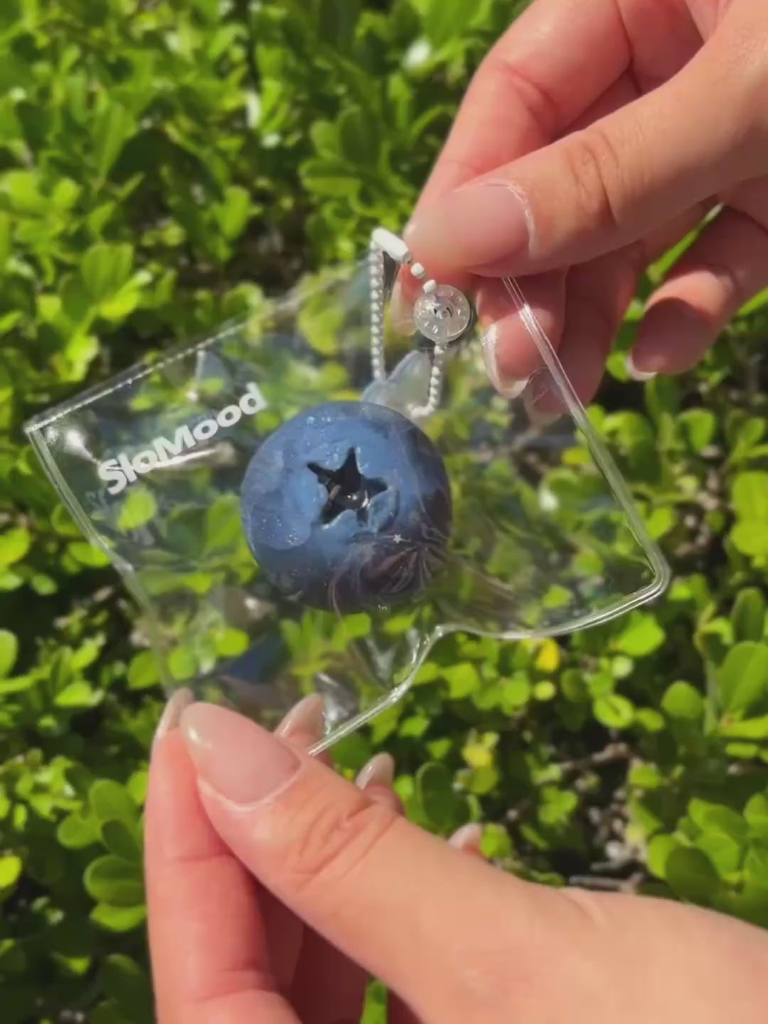 Manma Real Blueberry Mini video