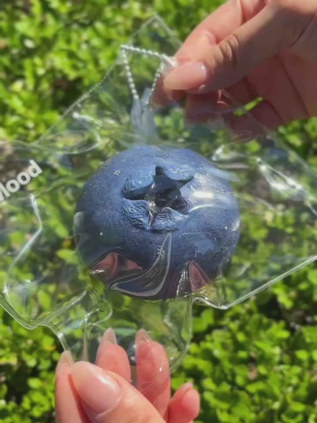 Manma Real Blueberry video
